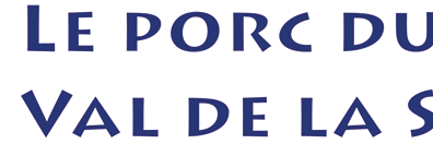 cropped-cropped-logo.png